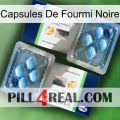 Black Ant Capsules viagra5